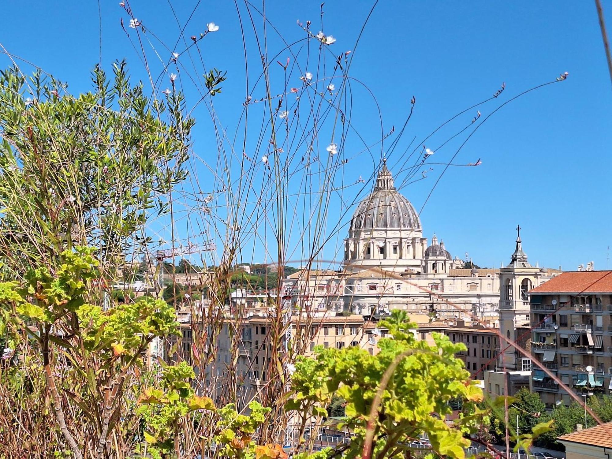 Delmirani'S Book Apartments - Vatican View Roma Esterno foto